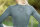 Covalliero Active Shirt