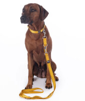 Hundetrainingsleine Anam Cara