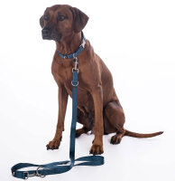 Hundetrainingsleine Anam Cara