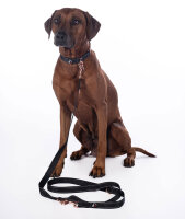 Hundetrainingsleine Anam Cara
