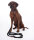 Hundetrainingsleine Anam Cara