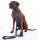 Hundetrainingsleine Anam Cara