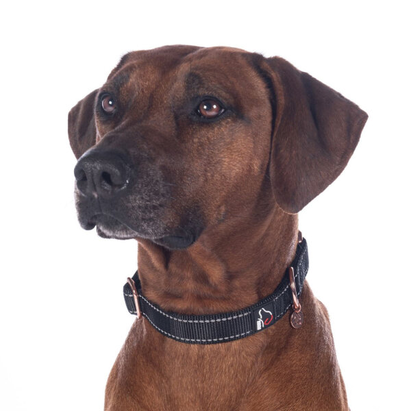 Hundehalsband Anam Cara