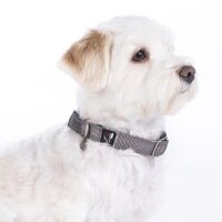 Hundehalsband Anam Cara