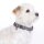 Hundehalsband Anam Cara