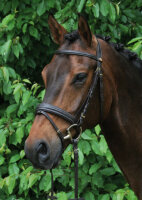 Hans Melzer Trense Bad Harzburg PONY braun