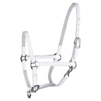 Waldhausen STAR Fohlenvorführhalfter SHETTY weiß