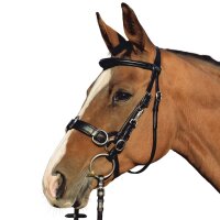 Euroriding EU-Trensen-Kappzaum Atlanta VB schwarz