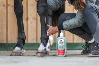 Leovet Cold Pack Plus Edition