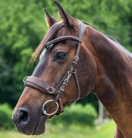 Waldhausen Lederkappzaum anatomic VB braun