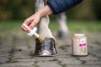 B&E Lorbeerbooster 450 ml