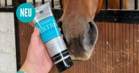 Carr & Day & Martin Flygard extra strenght Gel...