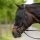 Fliegenmaske Riding