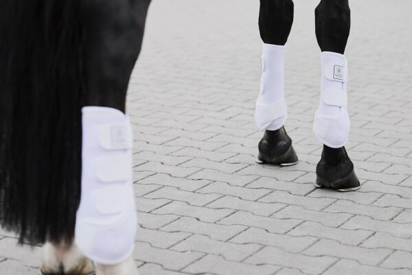 Gamaschen PRO DRESSAGE