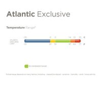 Atlantic Exclusive light