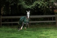 Freedom Turnout Light