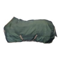 Freedom Turnout Light