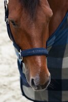 Eskadron Halfter Softshell Double Pin