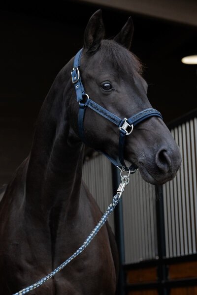 Eskadron Halfter Mattgloss Jewel Double Pin
