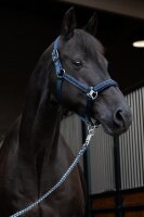 Eskadron Halfter Mattgloss Jewel Double Pin