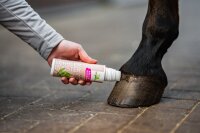 B&E Lorbeerbooster 200 ml