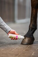 B&E Lorbeerbooster 200 ml