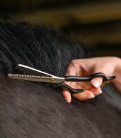 Waldhausen Effilierschere