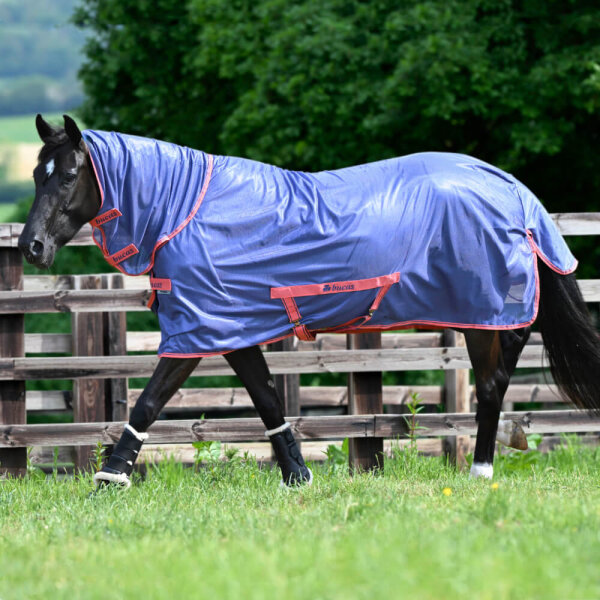 Bucas Freedom Fliegendecke Navy Grape