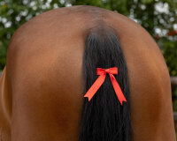 Brands of Q Warnschleife rot