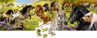 Coppenrath Panorama-Puzzle - Pferdefreunde (250 Teile)