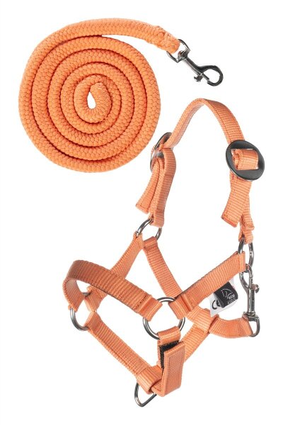 HKM Halfter und Strick Hobby Horsing Basic