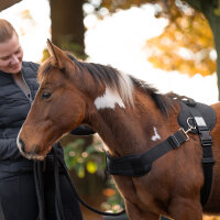 Kavalkade Foalmaster-Fohlengeschirr