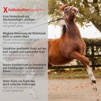 Kavalkade Foalmaster-Fohlengeschirr