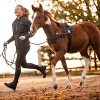 Kavalkade Foalmaster-Fohlengeschirr