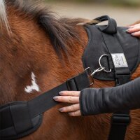 Kavalkade Foalmaster-Fohlengeschirr