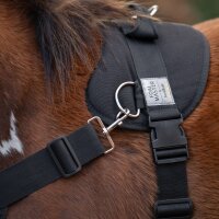 Kavalkade Foalmaster-Fohlengeschirr
