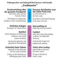 Kavalkade Foalmaster-Fohlengeschirr