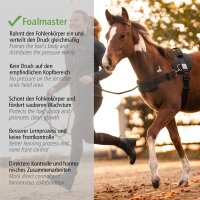 Kavalkade Foalmaster-Fohlengeschirr