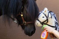 Equinatura Hobby Horsing Sauber Zauber