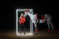 Eskadron Fliegenohren Jewel