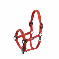 Eskadron Halfter Double Pin