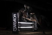 Eskadron Gamaschen Mesh