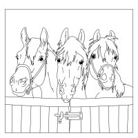 Coppenrath Mein superdicker Pferdefreunde-Malblock