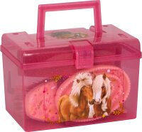 Coppenrath Putzzeug Pferdefreunde