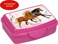 Coppenrath Mini-Snackbox - Pferdefreunde pink