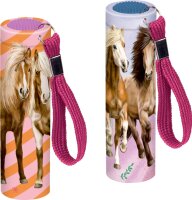 Coppenrath Kleine Taschenlampe - Pferdefreunde