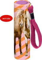 Coppenrath Kleine Taschenlampe - Pferdefreunde
