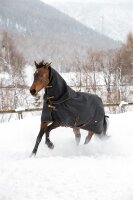 Bucas Irish Turnout 150 + Neck Set