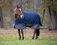 Equithème Decke - TYREX 50g 600D