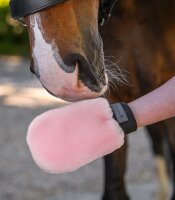Waldhausen Lammfellputzhandschuh Lucky